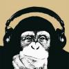 YouNow profile picture for @MUSICA