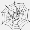 YouNow profile picture for @MrSpider