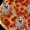YouNow profile picture for @Baloney