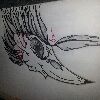 YouNow profile picture for @Chapman