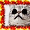 YouNow profile picture for @Hellfire