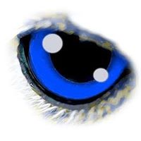 YouNow profile picture for @Reptilian
