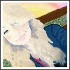 YouNow profile picture for @alfalfa