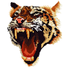 YouNow profile picture for @DRIFTER