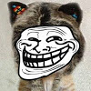 YouNow profile picture for @Animals