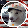 YouNow profile picture for @neatly