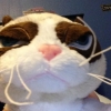 YouNow profile picture for @Turds