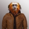 YouNow profile picture for @observer