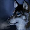 YouNow profile picture for @dignity
