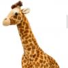 YouNow profile picture for @Giraffe