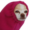 YouNow profile picture for @Jeopardy