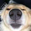 YouNow profile picture for @landslide