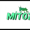 YouNow profile picture for @Mitoz