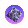 YouNow profile picture for @Notsad