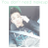YouNow profile picture for @norma