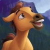 YouNow profile picture for @spi