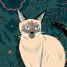 YouNow profile picture for @Rytis