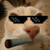 YouNow profile picture for @Uto