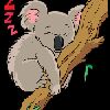 YouNow profile picture for @Purse